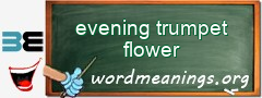 WordMeaning blackboard for evening trumpet flower
